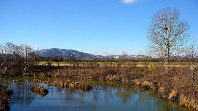 Marchfeldkanal: Wasser für die heimische Kornkammer