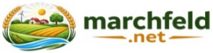 Marchfeld.net