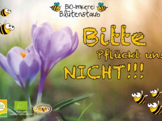 BIO-Imkerei Blütenstaub