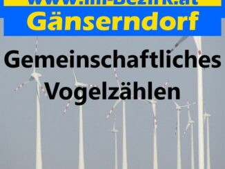 Gemeinschaftliches Vogelzählen