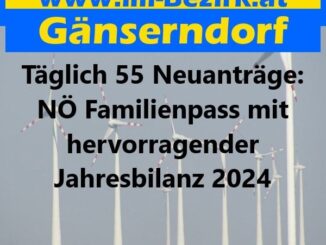 Täglich 55 Neuanträge: NÖ Familienpass mit hervorragender Jahresbilanz 2024
