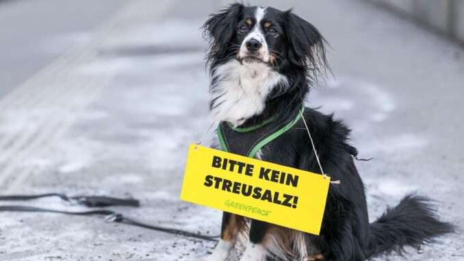 Greenpeace warnt: Massiver Streusalz-Einsatz in Österreich schadet Tieren und Natur