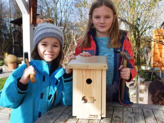 Bald ist Vogelhochzeit – jetzt Nistkästen reparieren und bauen!