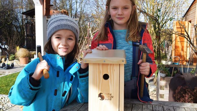 Bald ist Vogelhochzeit – jetzt Nistkästen reparieren und bauen!