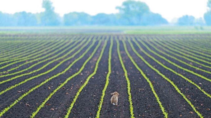 Bodenlos? Der schwindende Schatz unter unseren Füßen