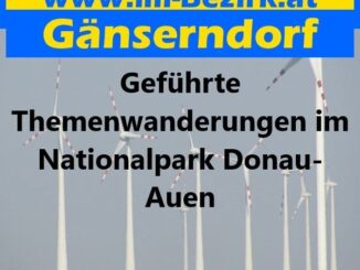 Geführte Themenwanderungen im Nationalpark Donau-Auen