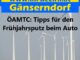 ÖAMTC: Tipps für den Frühjahrsputz beim Auto