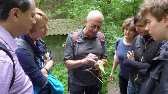 Eintauchen in die Vielfalt der Natur