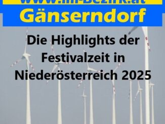 Die Highlights der Festivalzeit in Niederösterreich 2025