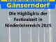 Die Highlights der Festivalzeit in Niederösterreich 2025