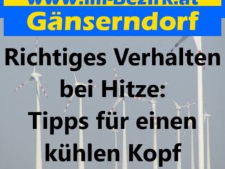 Richtiges Verhalten bei Hitze: Tipps für einen kühlen Kopf
