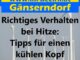 Richtiges Verhalten bei Hitze: Tipps für einen kühlen Kopf