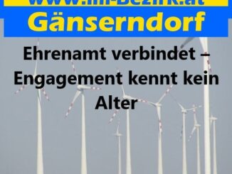 Ehrenamt verbindet – Engagement kennt kein Alter