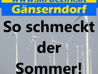 So schmeckt der Sommer!