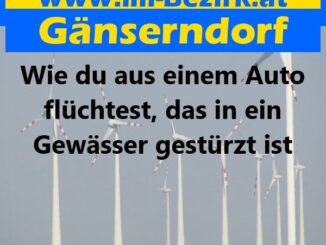 Wie du aus einem Auto flüchtest, das in ein Gewässer gestürzt ist