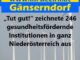 „Tut gut!“ zeichnete 246 gesundheitsfördernde Institutionen in ganz Niederösterreich aus