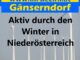Aktiv durch den Winter in Niederösterreich