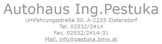 Autohaus Pestuka