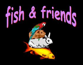 Fish and Friends