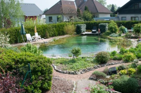 Humanenergetik Schreiber