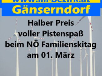 Halber Preis – voller Pistenspaß beim NÖ Familienskitag am 1. März