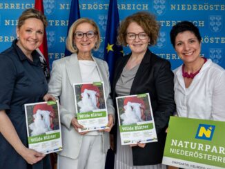 „Wilde Blätter“: Neues Magazin der Naturparke Niederösterreich für Kindergärten und Horte
