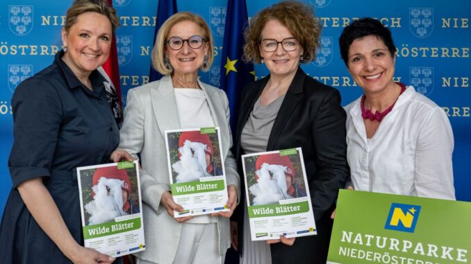 „Wilde Blätter“: Neues Magazin der Naturparke Niederösterreich für Kindergärten und Horte