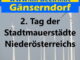 2. Tag der Stadtmauerstädte Niederösterreichs